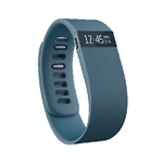 FitBit Charge Small Band Wireless Slate Activity and Sleep Wristband Tracker