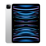 11-Inch iPad Pro WiFi 2TB 4th Gen