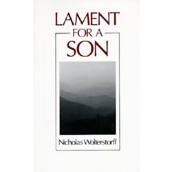 LAMENT FOR A SON