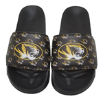 Black and Gold Oval Tiger Head Graphic Slides