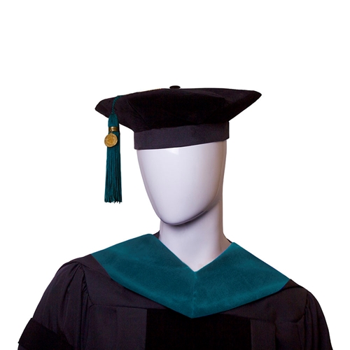 Graduation Caps – Destined By DPT