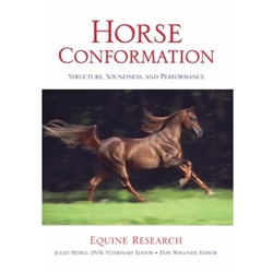 HORSE CONFORMATION