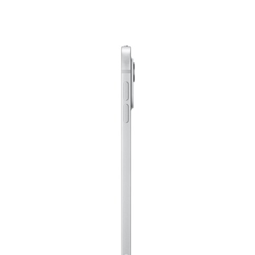 11-Inch M4 Chip iPad Pro 256GB Wi-Fi Standard Glass Silver | The