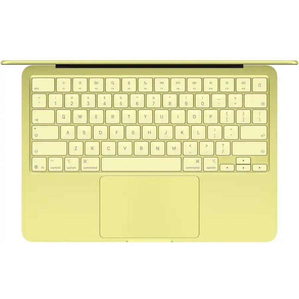 Apple 13