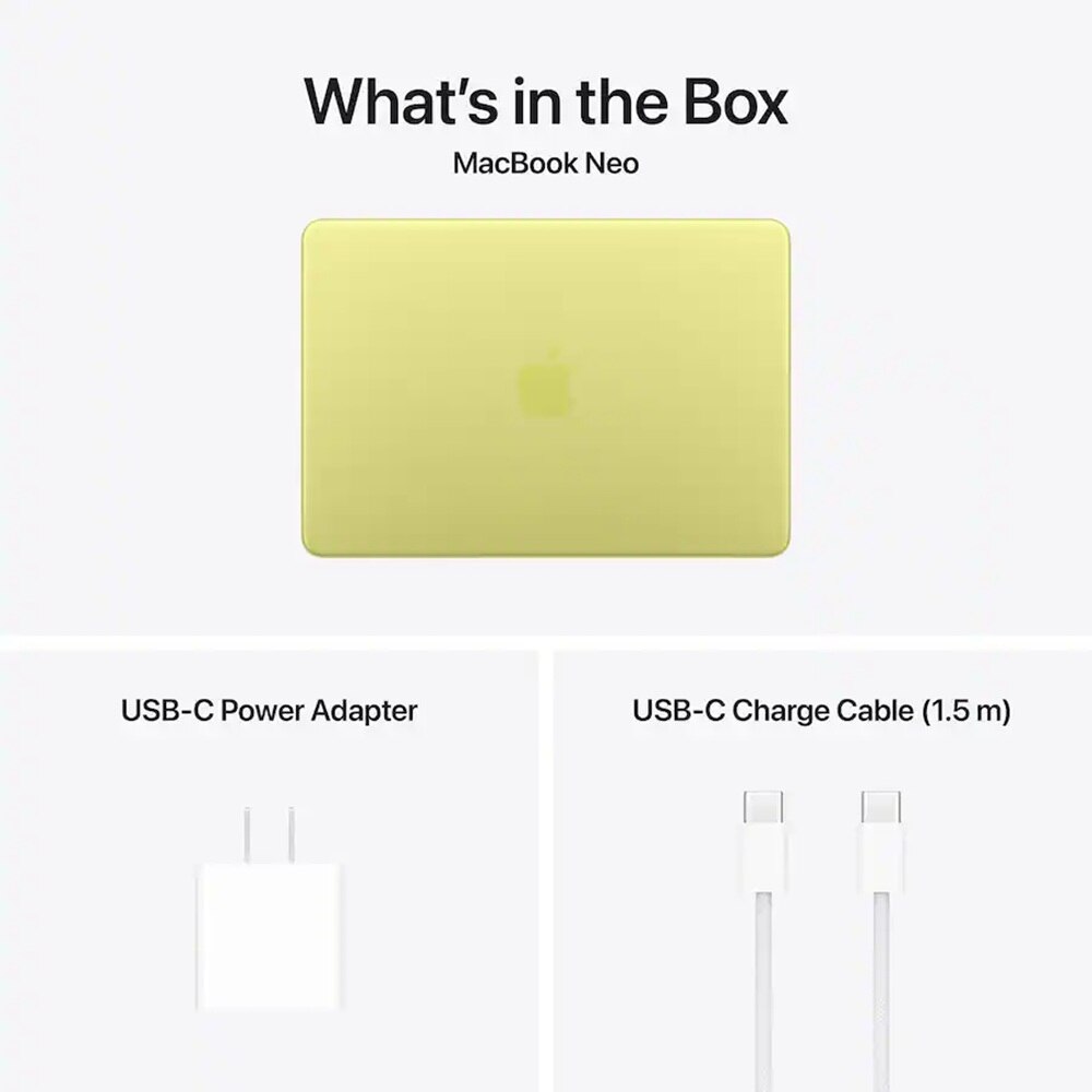 Apple 13