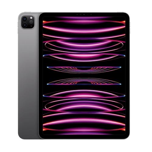 11-Inch iPad Pro WiFi 1TB 4th Gen Space Gray | The Mizzou Store